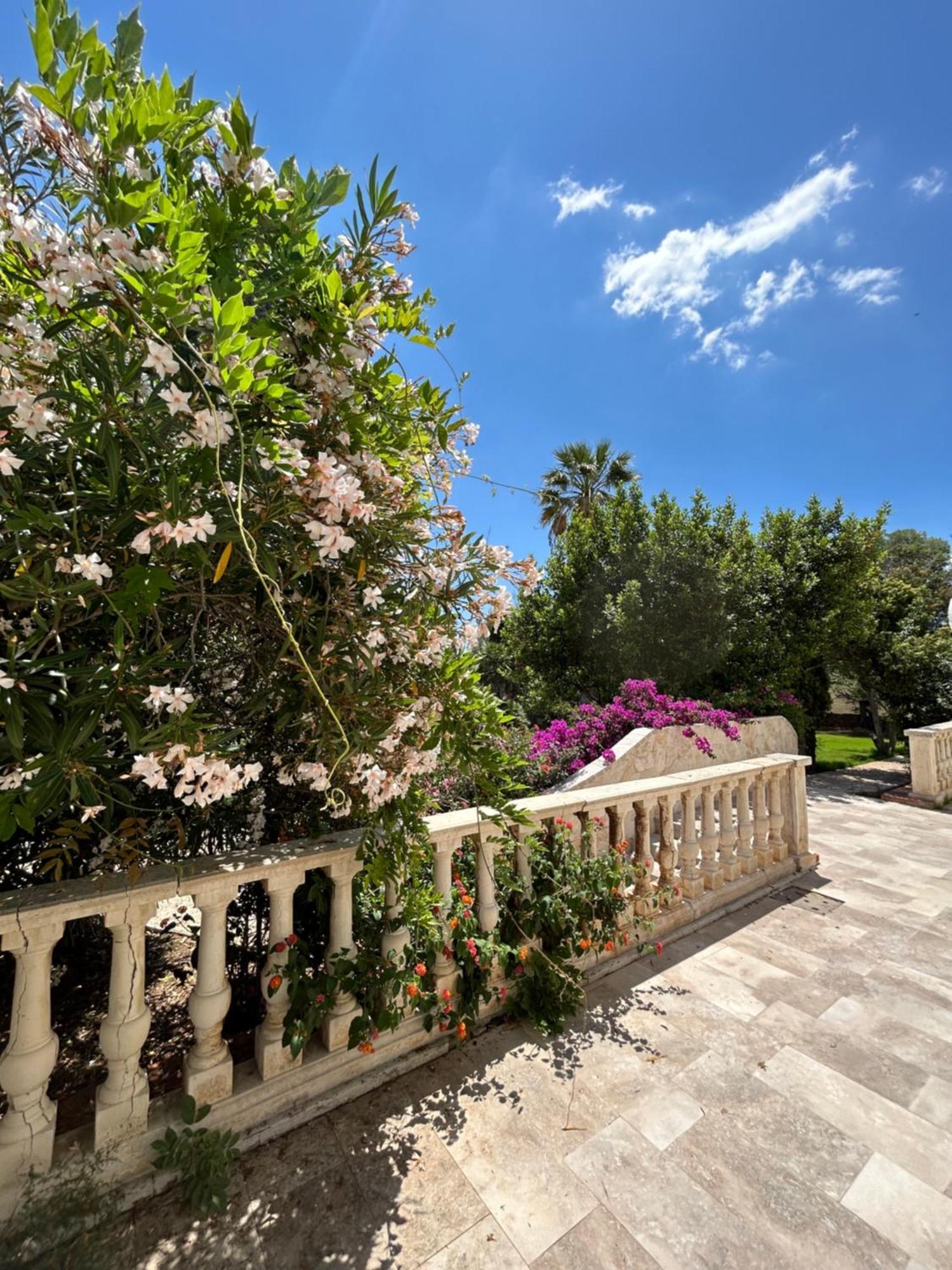 Villa Cavalieri Country Hotel Pula Eksteriør billede
